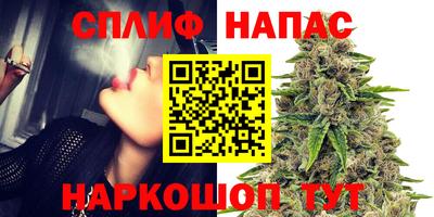 ешки Краснодар